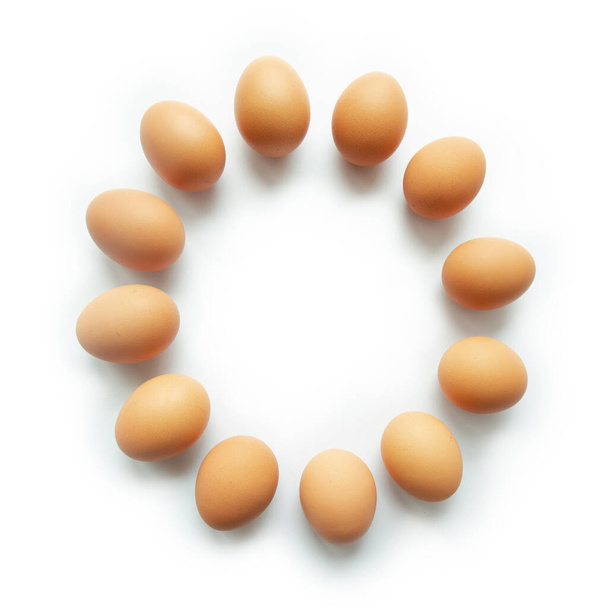 Ovos de galinha marrom em círculo afiado no fundo branco. Isolado. Espaço de cópia. - Foto, Imagem
