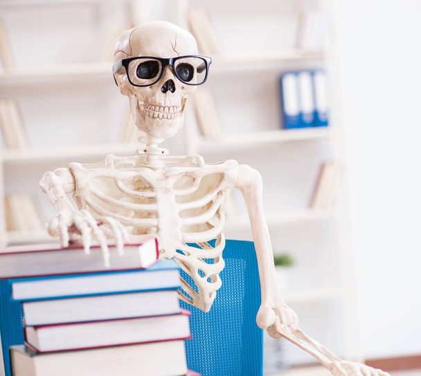 Student skeleton preparing for exams - Foto, Bild