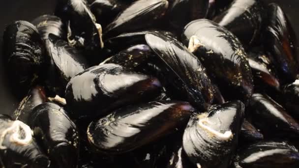 Fresh mussels in the pan - Footage, Video