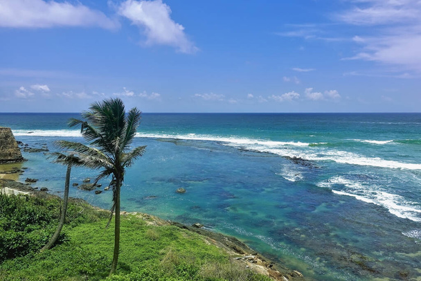 Waves with white foam on the turquoise ocean. A palm tree grows on the bank. Azure sky with picturesque clouds. Summer sunny day. Sri Lanka. Galle Fort - Photo, Image