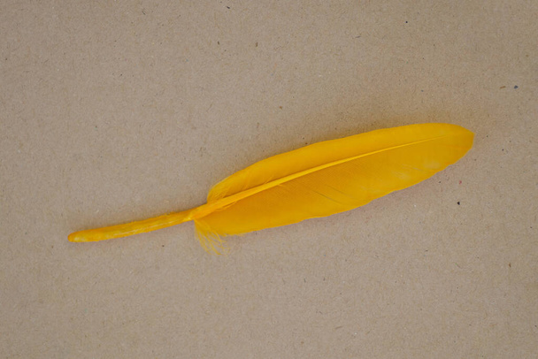 κίτρινο φτερό βρίσκεται σε καφέ χαρτί close-up - Φωτογραφία, εικόνα
