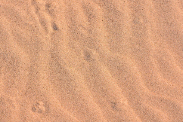 Fénykép a textúra homok Dűne sivatag - Fotó, kép