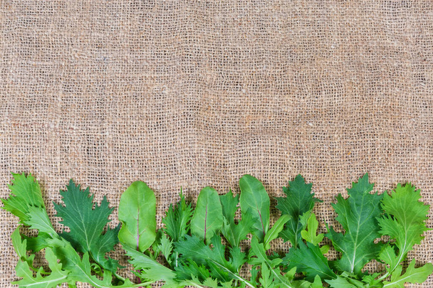 Hojas de rúcula fresca, acelga verde y mizuna dispuestas sobre la arpillera y situadas en la parte inferior, fondo - Foto, Imagen