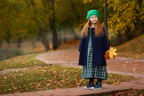 Irlandés niña al aire libre foto en el fondo del paisaje de otoño. Foto de alta calidad - Foto, Imagen
