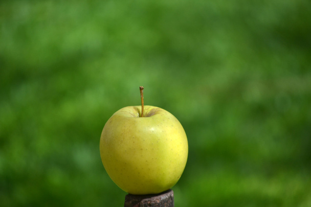 Green apple on wood - Photo, Image