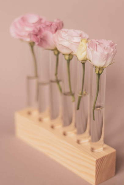 Flores de eustoma branco e rosa em tubos de ensaio de vidro num suporte de madeira - Foto, Imagem