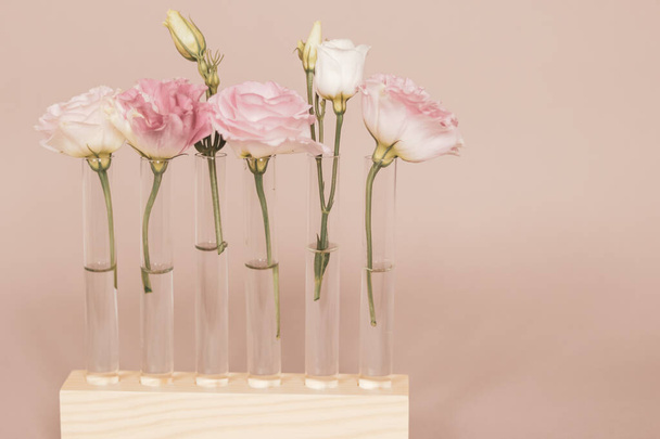 Fleurs d'eustomes blanches et roses dans des éprouvettes en verre sur un support en bois - Photo, image