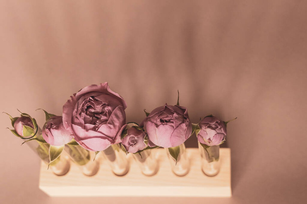 Μοβ μπουμπούκια τριαντάφυλλου σε γυάλινους δοκιμαστικούς σωλήνες σε ξύλινη βάση. - Φωτογραφία, εικόνα