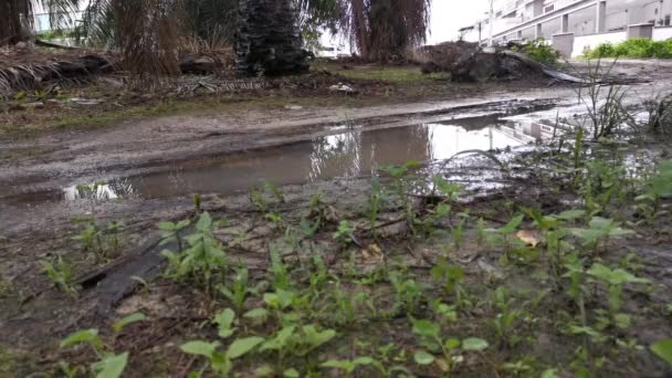 footage of walking into the pool of muddy puddle water. - Footage, Video