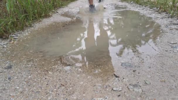 felvétel arról, ahogy besétál a sáros pocsolyavíz medencéjébe. - Felvétel, videó