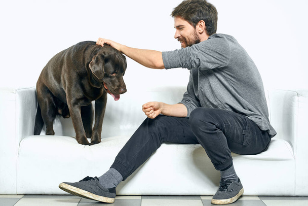 el propietario juega con el perro en un sofá blanco En una habitación luminosa divertido primer plano vista amigos mascota - Foto, imagen