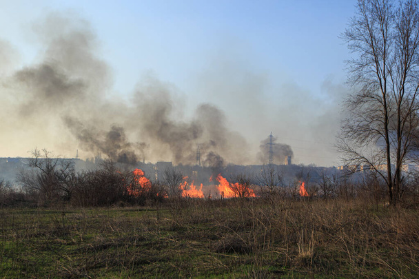 Wielki pożar w rejonie stepu - Zdjęcie, obraz