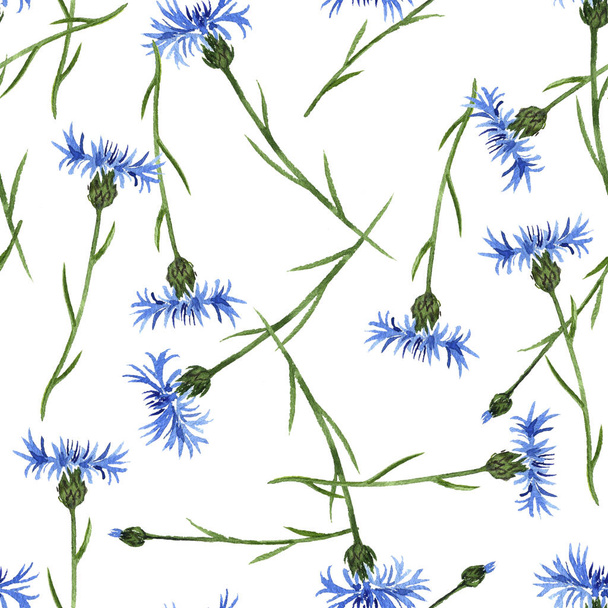 seamless pattern with watercolor drawing cornflower flowers - Фото, изображение