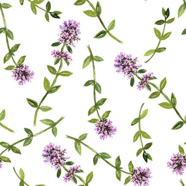 seamless pattern with watercolor drawing thyme - Photo, Image