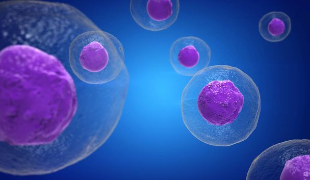 Células T atacando células cancerosas, ilustração 3D - Foto, Imagem