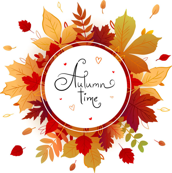 Espace Web pour le texte avec des feuilles d'automne de couleurs jaune, orange, rouge sur un fond blanc. de nombreuses feuilles d'arbres différents - Photo, image