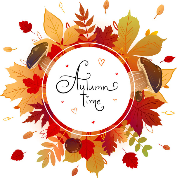 Espaço web para texto com folhas de outono de amarelo, laranja, cores vermelhas em um fundo branco. muitas folhas de árvores diferentes. cogumelos. - Foto, Imagem