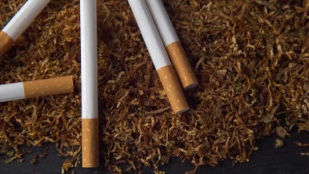 Een stapel handrollende tabak met sigaretten. Selectieve focus.Tabak extreem close-up, macro 4k beeldmateriaal. - Video