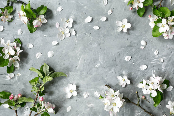 Flowers composition. Frame made of white flowers and green leaves. Apple tree flowers on pastel gray background. Spring concept. Flat lay, top view, copy space. High quality photo - Foto, afbeelding
