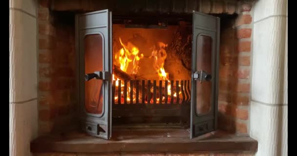 Toros de madeira queimando em uma lareira - Filmagem, Vídeo