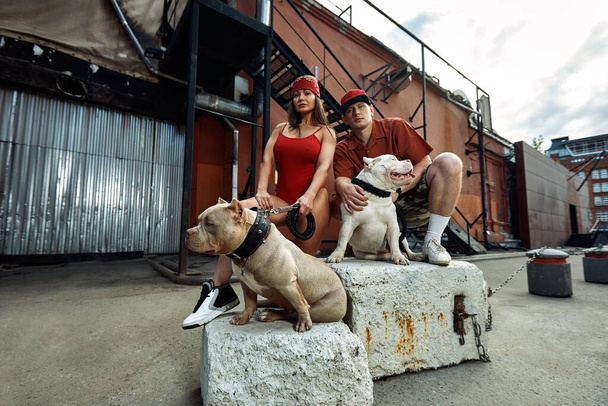 jeune homme et femme élégamment habillés avec une figure sportive avec deux chiens tyrans américains dans les rues de la ville - Photo, image