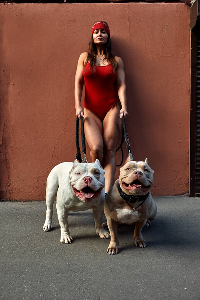 mujer con una figura atlética con dos perros acosador americano en las calles de la ciudad - Foto, Imagen