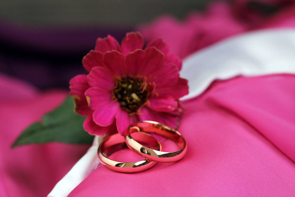 jegygyűrűk és rózsaszín virág oly közel - Fotó, kép