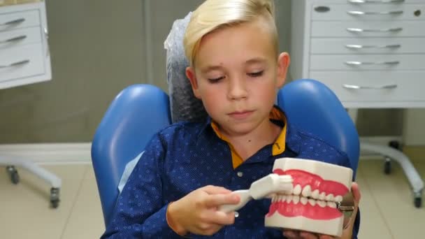 Concept de dentisterie. Portrait de mignon garçon souriant blonde assis dans une chaise dentaire, posant, tenant des dents modèle nettoyage avec brosse. Enfant garçon nettoyage des dents mâchoire avec brosse à dents. Vidéo 4 k - Séquence, vidéo