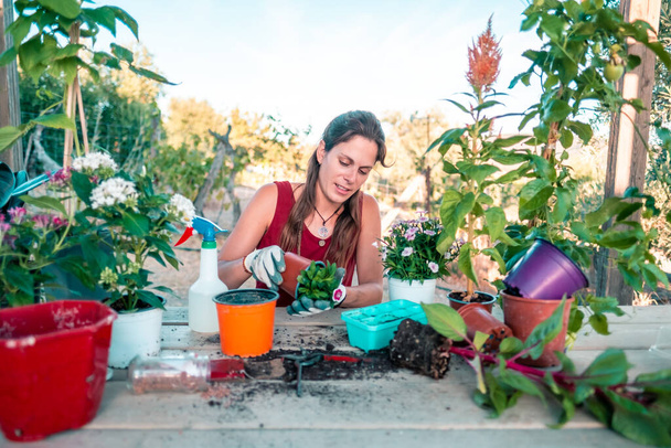 Young latin woman wearing a red dress and gloves surrounded by plants and pots on a wooden table - Foto, Imagen