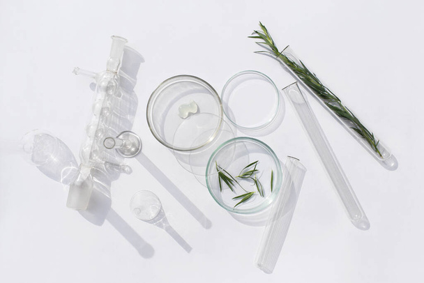 Natural medicine, cosmetic research, bio science, organic skin care products. Serum glass bottle with pipette in petri dish on white background. Top view, flat lay. Concept skincare. Dermatology - Foto, imagen