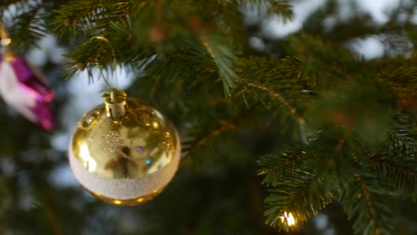クリスマスツリーの枝に金色のクリスマスボールのクローズアップ. - 映像、動画