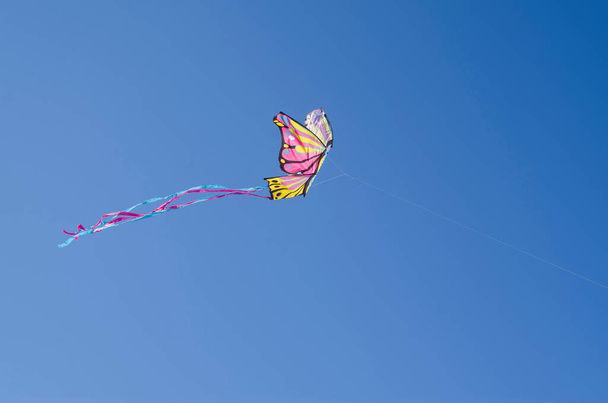 Värikäs perhonen leija sininen sk - Valokuva, kuva