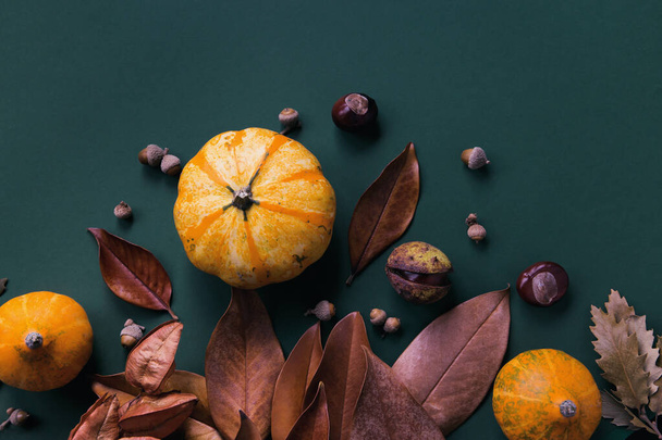 Podzimní složení z dýní, sušených listů, kaštanů a žaludy. Podzim, podzim, halloween. Byt ležel, horní pohled, kopírovací prostor - Fotografie, Obrázek