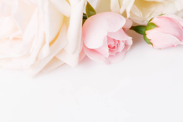 Stendardo romantico, delicati fiori di rose bianche primo piano. Petali giallo crema profumati - Foto, immagini