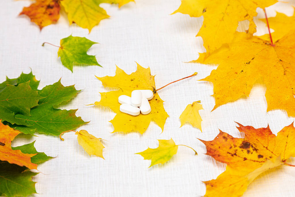 Martwa natura na białym tle klon liście, pigułki, koncepcja, dbać o jesień, zdrowie. - Zdjęcie, obraz