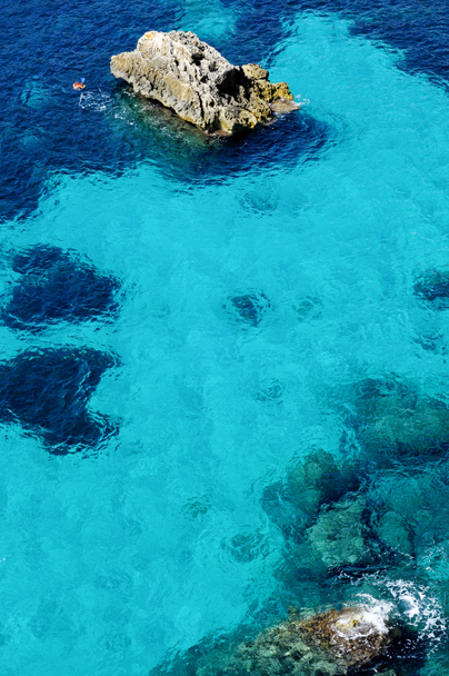Дайвинг на тропическом пляже
 - Фото, изображение