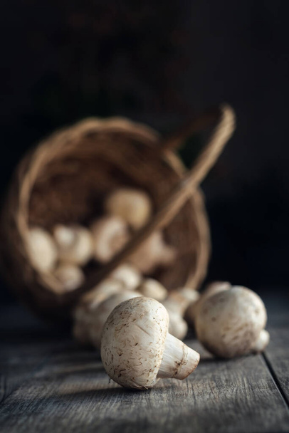 White mushrooms on the wooden rustic table with blurred basket on background, selective focus - Фото, изображение