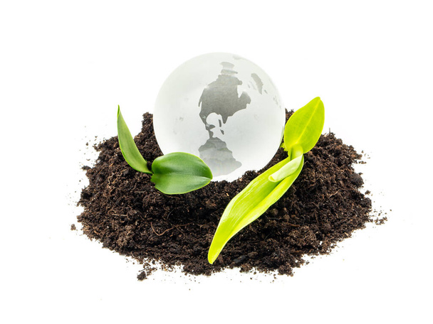 World globe with plants and earth isolated - Photo, Image