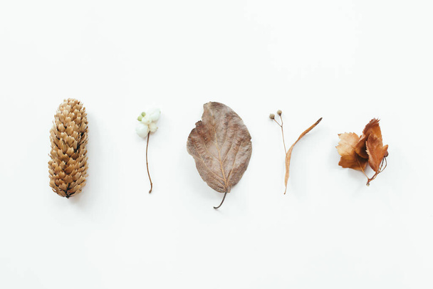 Autumn leaves on white background. Autumn, fall concept. Flat lay, top view, copy space - Фото, зображення