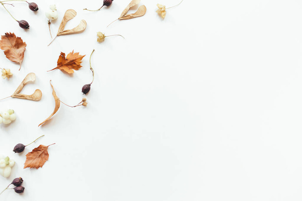 Autumn leaves on white background. Autumn, fall composition. Flat lay, top view, copy space - Φωτογραφία, εικόνα