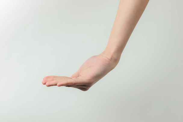 Kobieca dłoń do tekstu na białym tle - Zdjęcie, obraz