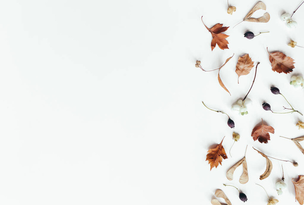 Осенняя композиция. Осенние листья на белом фоне. Плоская кладка, вид сверху, копировальное пространство - Фото, изображение
