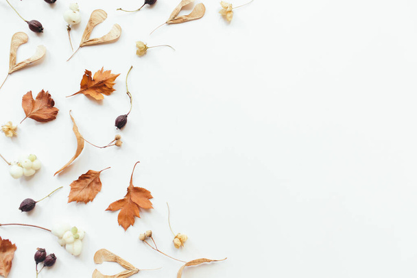 Autumn leaves on white background. Autumn, fall composition. Flat lay, top view, copy space - Photo, Image