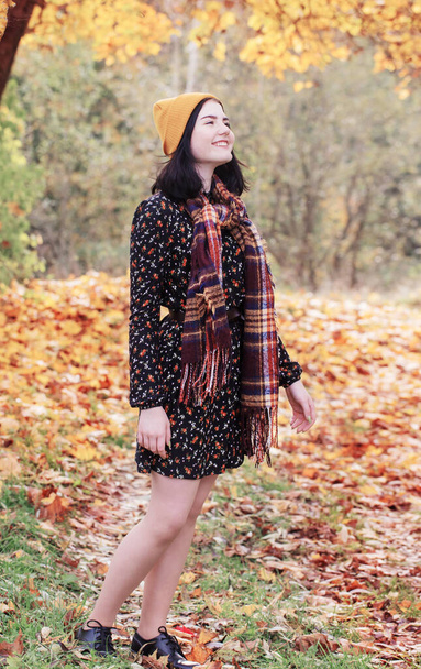 beautiful brunette girl in autumn park - Zdjęcie, obraz