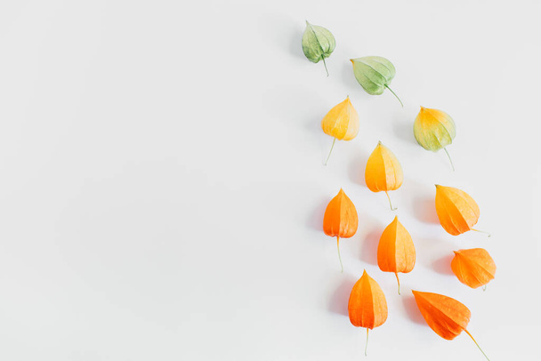 Creative layout of yellow, orange and green flowers of physalis. Autumn composition. Season concept. Flat lay, top view - Foto, afbeelding