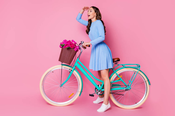 Full length body size profile side view of her she attractive cheerful wavy-haired lady riding bike wearing smart casual searching way direction journey rout isolated pink pastel color background - Φωτογραφία, εικόνα
