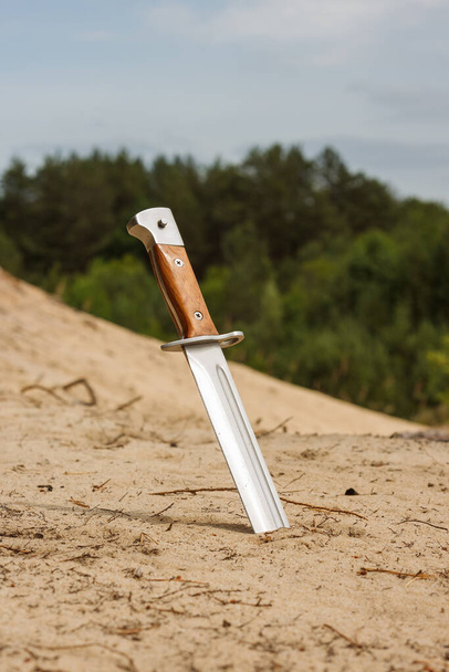Охотничий нож с деревянной ручкой, застрявшей в песке  - Фото, изображение