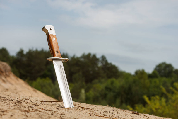 Охотничий нож с деревянной ручкой, застрявшей в песке  - Фото, изображение