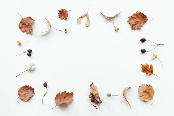 Frame made of dried autumn leaves on white background. Autumn, fall concept. Flat lay, top view, copy space - 写真・画像