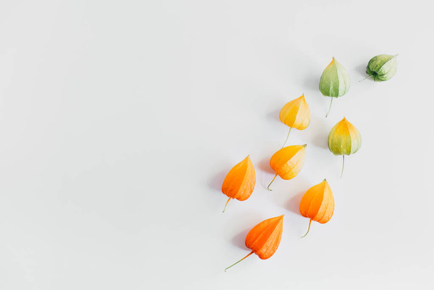 Creative layout of yellow, orange and green flowers of physalis. Autumn composition. Season concept. Flat lay, top view - 写真・画像
